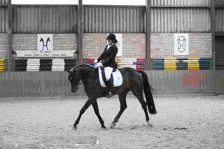 Turnier 2010