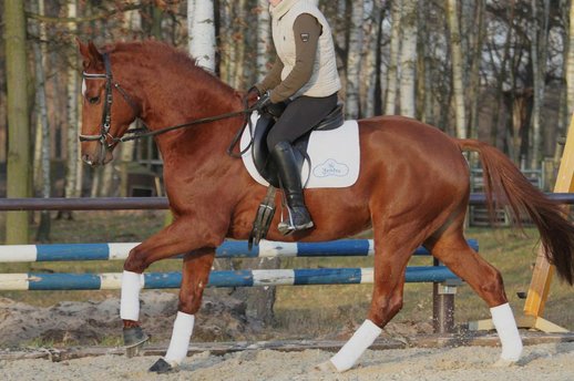 Florin Dezember 2012